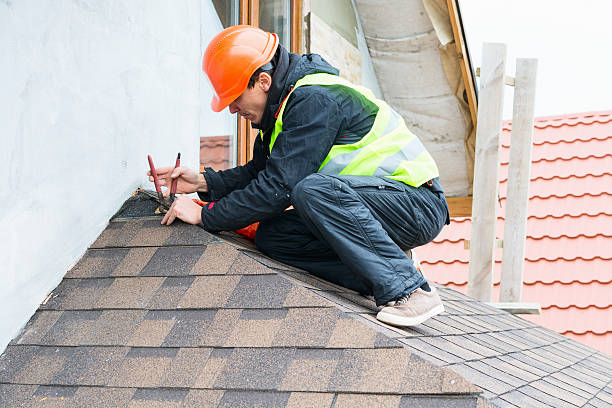 Roof Gutter Cleaning in Peculiar, MO